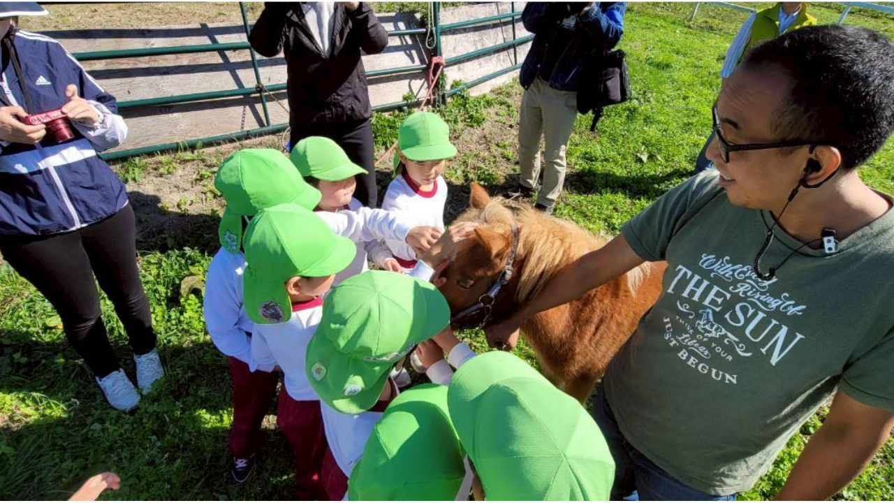 10fb15c77258a991b0028080a64fb42d-1761358136.png 10fb15c77258a991b0028080a64fb42d-1761358136.png