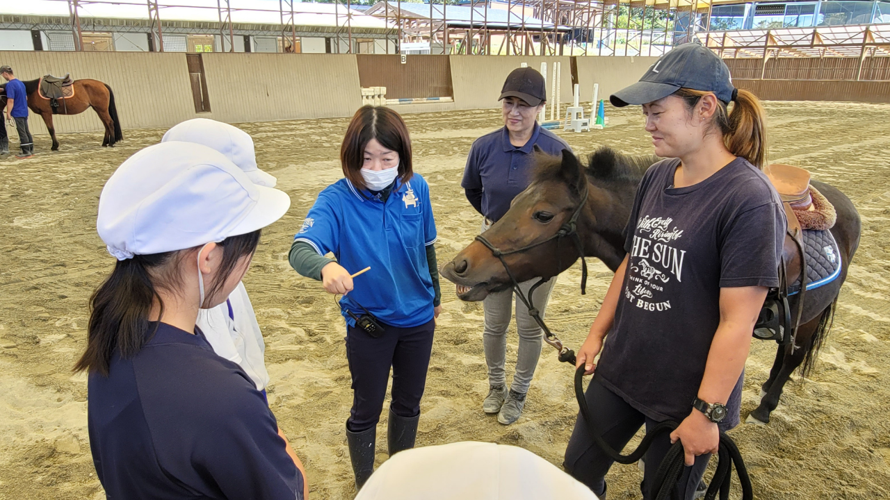 8266e4bfeda1bd42d8f9794eb4ea0a13-1760669522.png 8266e4bfeda1bd42d8f9794eb4ea0a13-1760669522.png