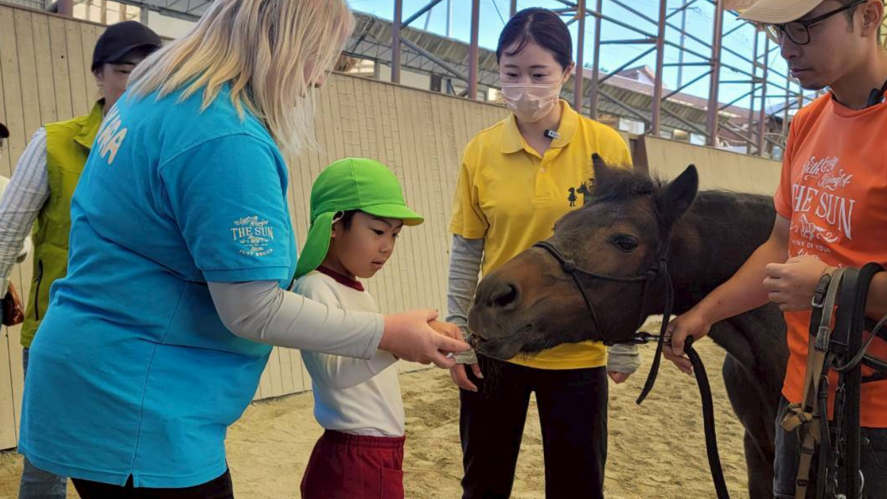 8266e4bfeda1bd42d8f9794eb4ea0a13-1761358773.png 8266e4bfeda1bd42d8f9794eb4ea0a13-1761358773.png