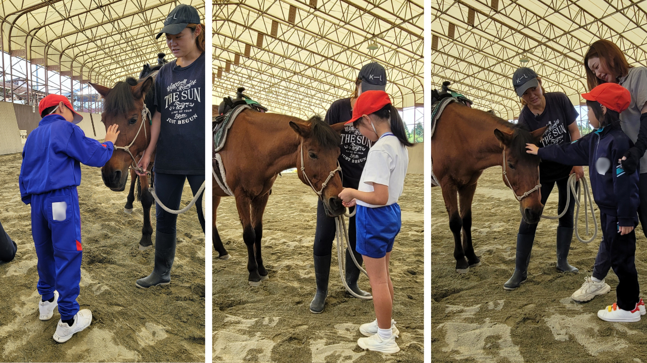 f19c9085129709ee14d013be869df69b-1760600416.png f19c9085129709ee14d013be869df69b-1760600416.png