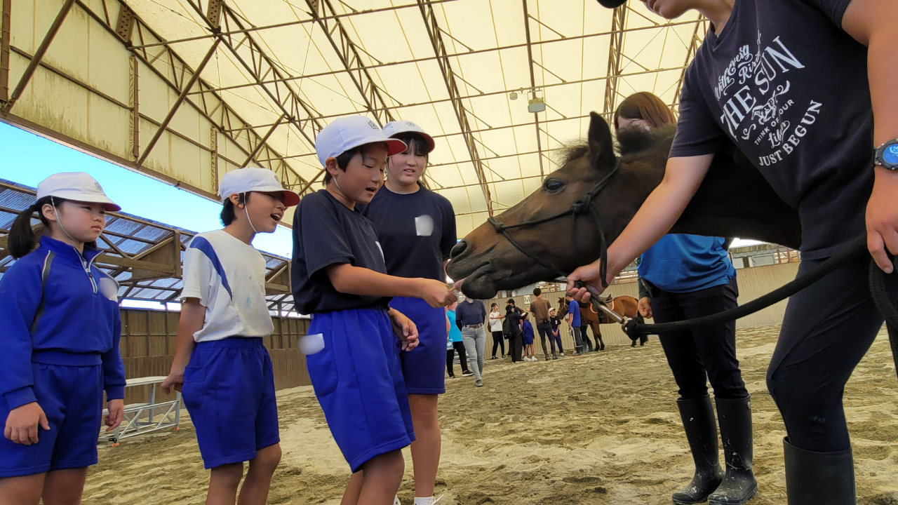 9eb9cd58b9ea5e04c890326b5c1f471f-1760671234.png 9eb9cd58b9ea5e04c890326b5c1f471f-1760671234.png