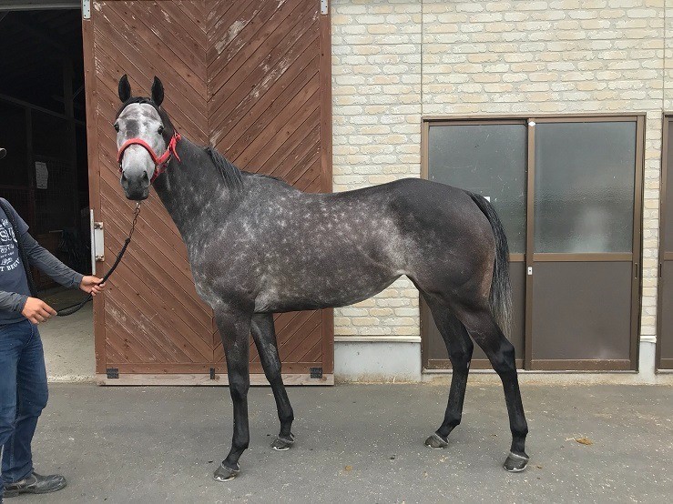 オンマイステージ