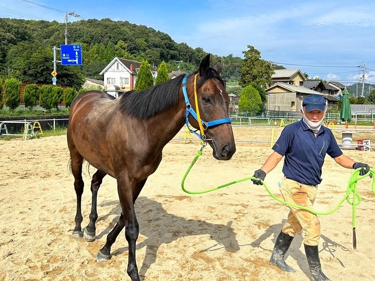 レッドジェニアル
