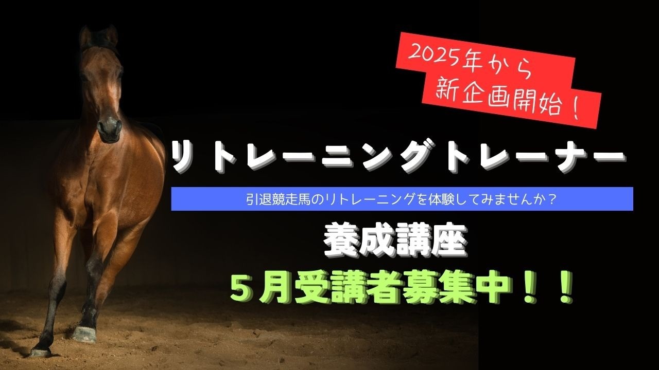 【新企画始動！】引退競走馬１頭をみんなの手で育ててみよう！