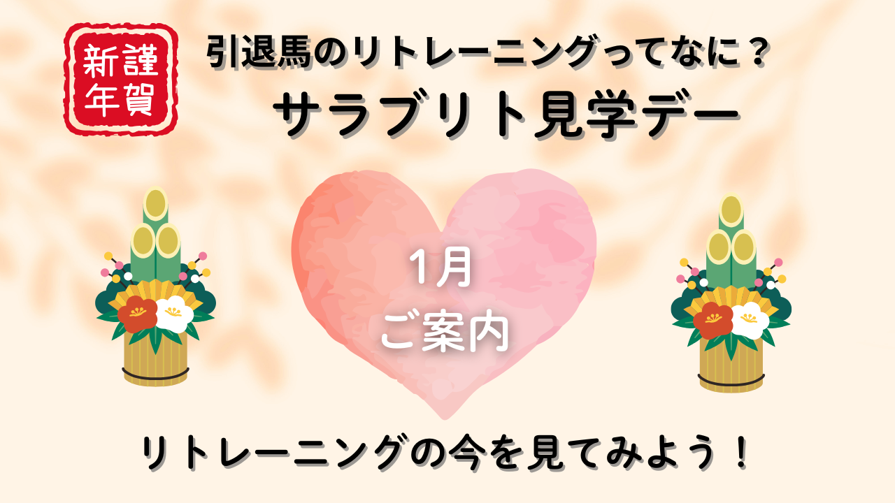 新年 1月『サラブリト見学デー』参加者大募集！