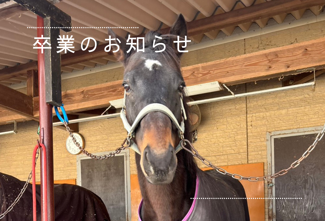 卒業のお知らせ