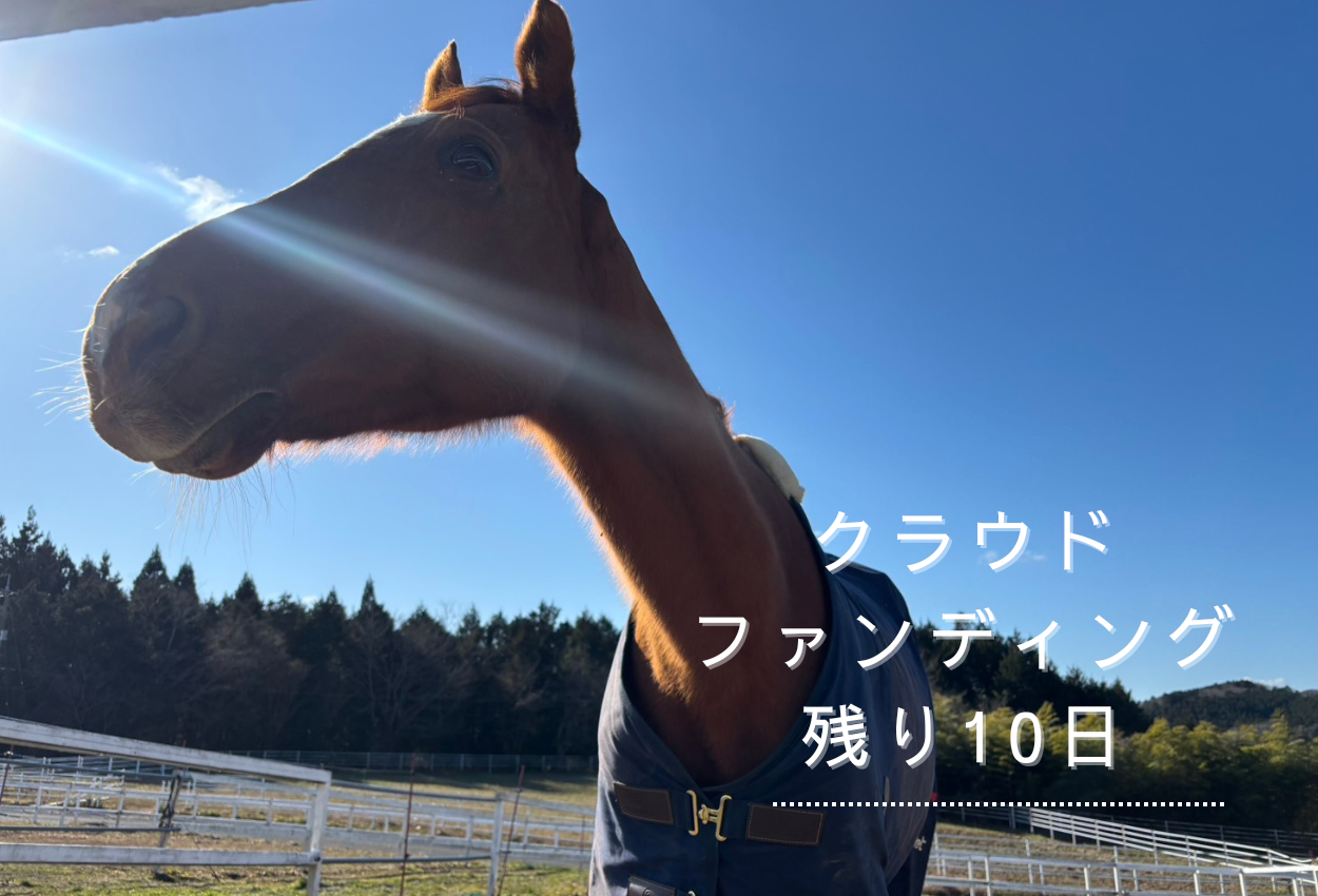 クラウドファンディング終了まであと10日