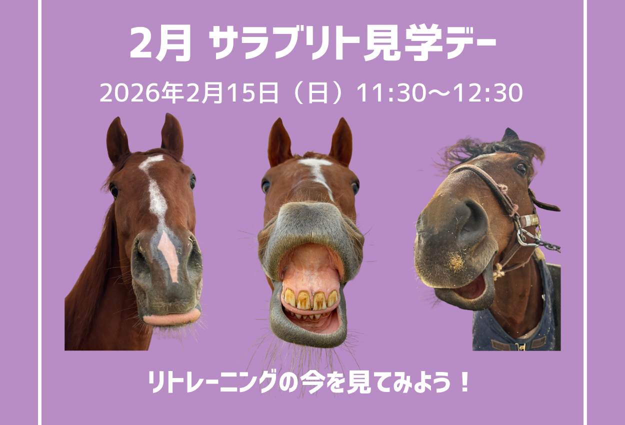 2月『サラブリト見学デー』参加者大募集！