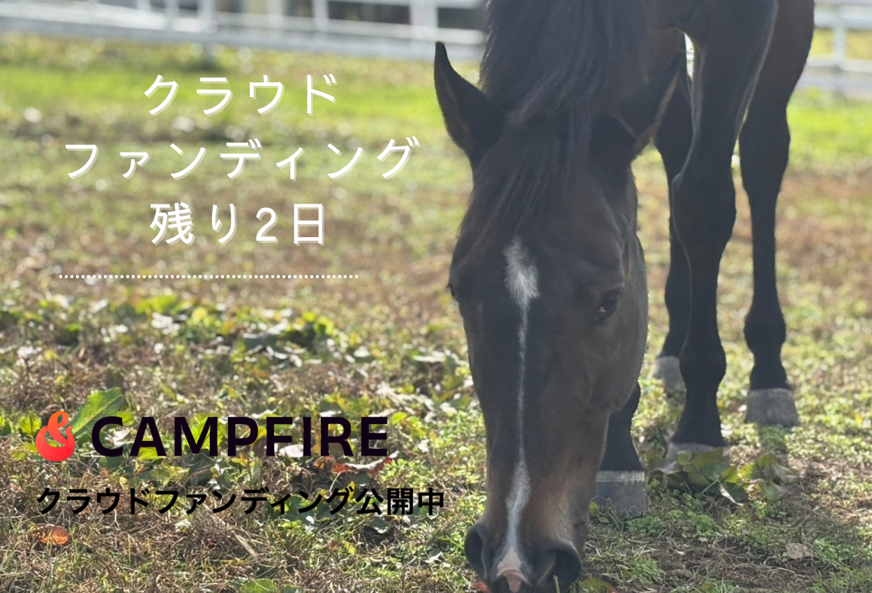 クラウドファンディング終了まであと2日！ぜひご支援をお願いいたします