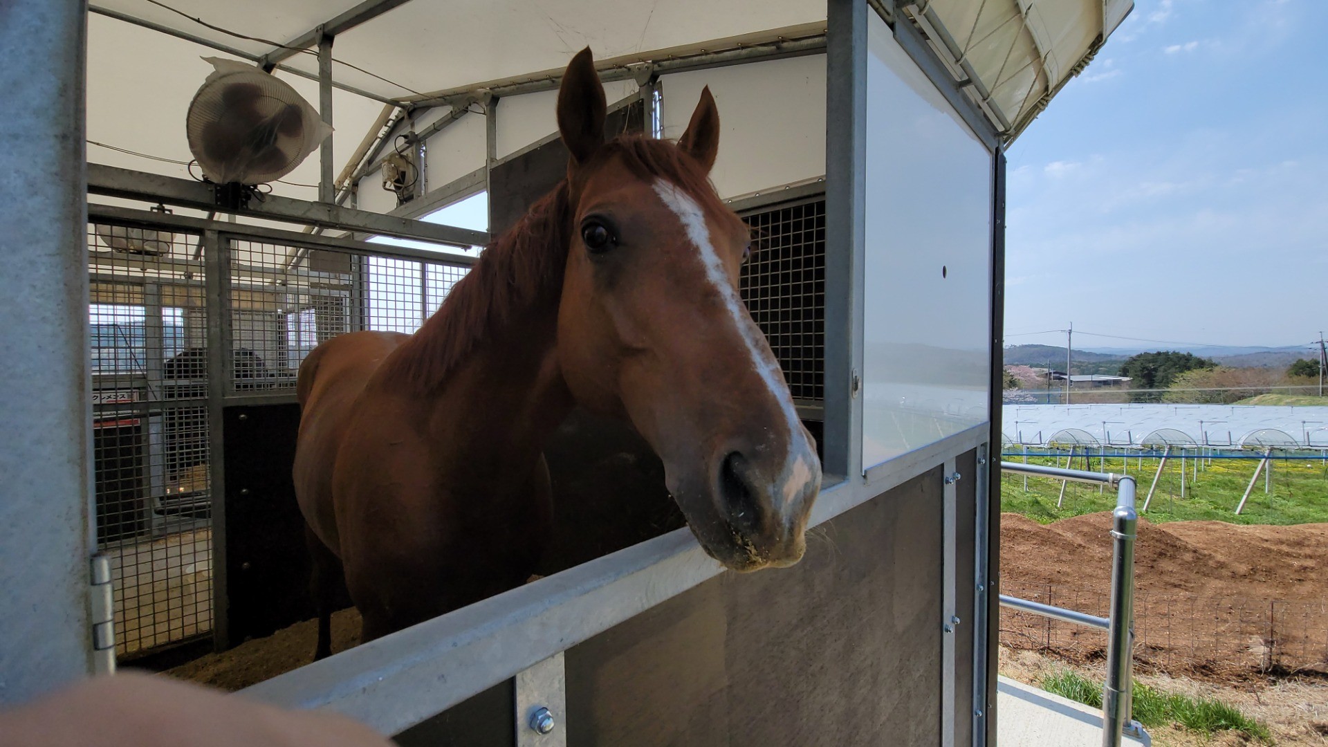 マオノヴァイザー