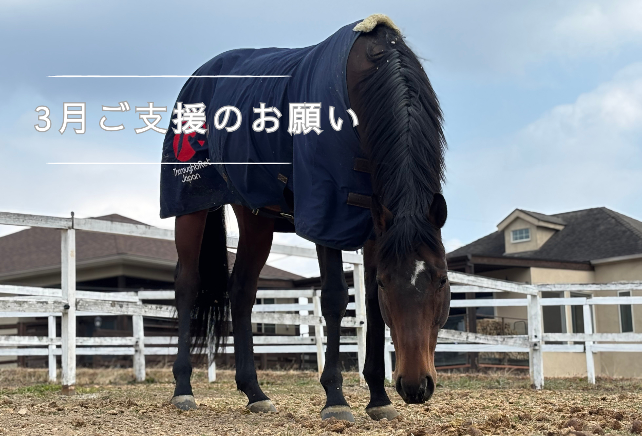 3月支援のお願い