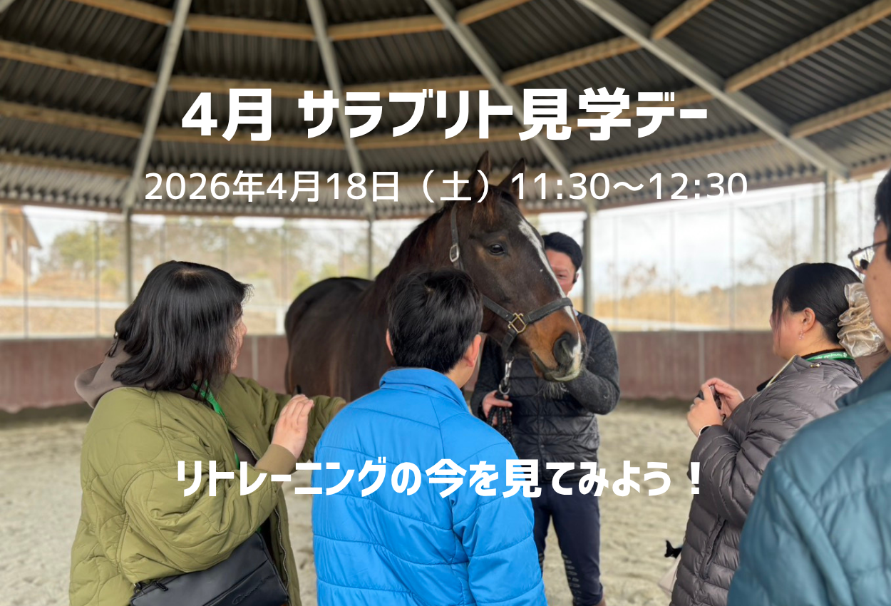 4月『サラブリト見学デー』参加者大募集！